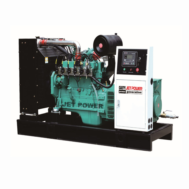 12kw 15kw 20kw 30kw Lpg/ Natural Gas/ Biogas Gas Generator Price