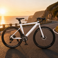 Vélo de course sur route à frein à disque hydraulique 700cc en acier carbone 16 vitesses avec roues en aluminium
