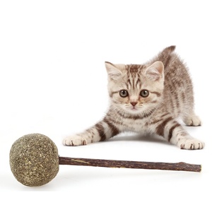 CAT Chew Matatabi Stick Toy Eco-Friendly Cute Lollipop Shape Catnip for Molar Cleaning Silvervine Catnip Toy for Cats - Product Image 1