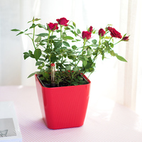 BRICE Vasos De Flores Pot Tanaman Kecil Warna Emas Set Pot Tanaman Self Watering