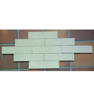 小尺寸240x60薄terracottat布线切割砖滑瓦外墙砖白色