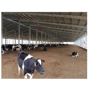 Prefab Boerderij Koe Schuur Schapen/Vee/Zuivel/Geit Huis Gevogelte Werpt Piggery Bouw Gebouw Stalen Structuur