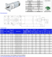 Moteur à engrenages CC RS555, moteur CC à balais avec boîte de vitesses de 37 mm, arbre de sortie en D de 6 mm ou sur mesure, moteurs CC 8-15W 10-1000 tr/min