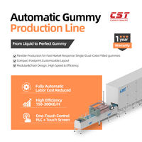Ligne de production entièrement automatique de bonbons gélifiés CST 150-300KG/H, machine à bonbons gélifiés, bonbons mous, en acier inoxydable