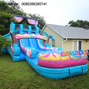 Nouveau design toboggan aquatique gonflable tropical à double piste pour piscine extérieure, usage scolaire et résidentiel, certifié CE 0,55 mm - Product Image 1