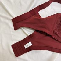 Bunga bordir Floral renda tanpa bantalan Push up seksi logo kustom kualitas tinggi Bra ukuran Plus