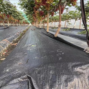 Eco Friendly PP Weed Barrier Cloth Anti <strong>Grass</strong> Ground Cover Fabric <strong>Roll</strong> for Tree Planting Landscaping - Product Image 2