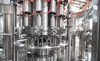 Machine de remplissage d'eau automatique pour ligne de production de petites entreprises