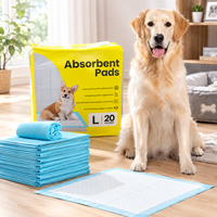Vente en gros de tapis d'apprentissage jetables pour animaux de compagnie, imperméables, taille XL, écologiques, pour chats et chiots