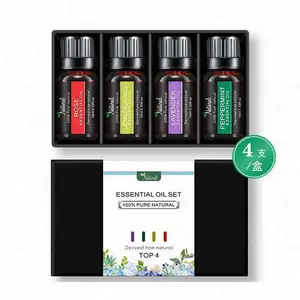 6*10ml कैंडी बेंत पुदीना सेब का रस क्रेनबेरी पाइन रम सस्ती कीमत तेल Aromatherapy आवश्यक तेलों उपहार सेट घर के लिए