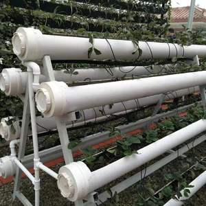 <span class=keywords><strong>Armario</strong></span> de <span class=keywords><strong>cultivo</strong></span> de tamaño personalizado, caja de <span class=keywords><strong>cultivo</strong></span> hidropónico de canales nft - Product Image 6
