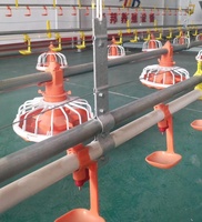 Équipement d'élevage avicole entièrement automatique à prix fournisseur chinois : mangeoires au sol et abreuvoirs à tétine pour poulets