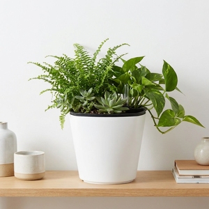 Decorative Desktop Plastic Self-Watering Flower Planter <b>Pots</b> for <b>Succulents</b> Herbs Orchids with Visual Water Indicator - Product Image 6