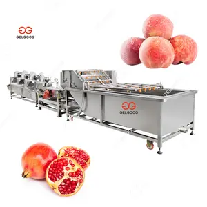 Gelgoog Industriële 500 Kg/u Grote Schaal Fruit Granaatappel Fruit Wasmachine Met Ozon Reiniging En Warmte