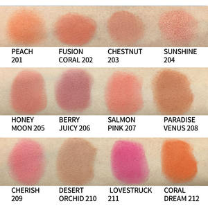 Haga su propia marca, paleta <span class=keywords><strong>de</strong></span> rubor con logotipo privado, colorete profesional - Product Image 2