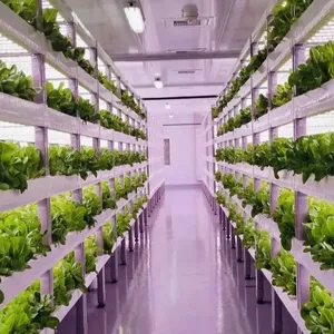 Kapalı tıbbi bitkiler ekimi için özelleştirilebilir büyümek konteyner akıllı dikey çiftlik tarım ekipmanları