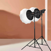 Kit d'éclairage de studio photo et vidéo, ensemble de parapluies et de boîtes à lumière, éclairage continu pour studio photo, portrait de produit BD400-SS
