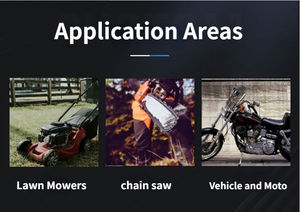 <span class=keywords><strong>ชุด</strong></span><span class=keywords><strong>แปลง</strong></span> FCT LPG CNG <span class=keywords><strong>ชุด</strong></span><span class=keywords><strong>แปลง</strong></span>2-3KW GX160แบบแมนนวลคาร์บูเรเตอร์แก๊สสำหรับ<span class=keywords><strong>เครื่อง</strong></span>กำเนิดไฟฟ้าเบนซินแบบพกพา - Product Image 6