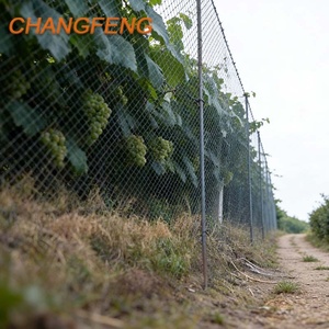 Malla Antipájaros de HDPE con Nudos, la Mejor en Oferta, <span class=keywords><strong>para</strong></span> Árboles <span class=keywords><strong>Frutales</strong></span> y Jardines - Product Image 1