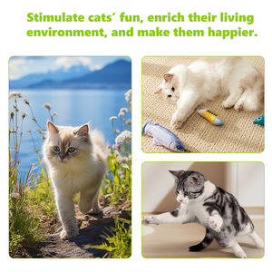 येगबोंग कैनिप स्प्रे प्राकृतिक सूत्र बिल्ली की चिंता पालतू जीवन भर स्वस्थ देखभाल स्प्रे को बढ़ाता है - Product Image 5