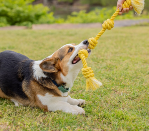 Chewable sinh thái thân thiện tương tác cắn kháng Du Côn Chewy khó khăn dây thừng Pet Dog bông Dây đồ chơi - Product Image 1