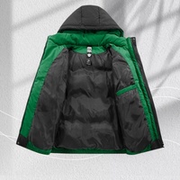 Veste d'hiver légère à capuche personnalisée pour homme, vente en gros d'usine, veste décontractée pour l'extérieur, tendance, chaude, en duvet
