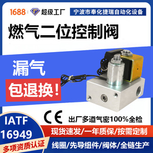 Ensemble de vanne de régulation de gaz bidirectionnelle 1/2 po DC 24V électromagnétique pour milieux à température normale - Product Image 4