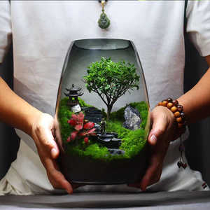 Kit terrario in vetro verde stile Country con Design del pavimento in fibra di muschio conservato - Product Image 5