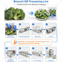 ORME Productielijn voor diepvriesaardbeien, kleine fruit- en groenteproducten, snijden, reinigen, drogen en IQF-vriezen.