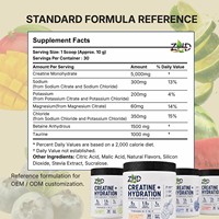 Formule d'hydratation à la créatine personnalisée OEM ODM |   5g Créatine 1.5g Bétaïne Taurine |   4 électrolytes 4 saveurs |   30 portions 300g