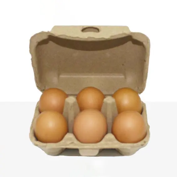 Ds3552 Natuurlijk Papier Pulp Ei Drager Biologisch Afbreekbare Eierhouder Opslagcontainers Voor Keuken Boerderij Eieren Kartons Bulk 6 Tellen