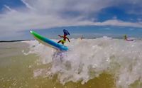 Nouvelle planche de surf et de skateboard amphibie en plastique, jouet éducatif pour enfants pour l'eau et la terre, cadeau pour la natation