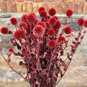 Flores Secas de Cardo Azul, Tallos de <span class=keywords><strong>Echinops</strong></span> a Granel, Cardo Azul Eterno, Rellenos de Flores Secas para Centros de Mesa de Boda - Product Image 2