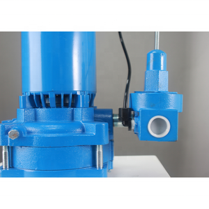 Pompa a getto verticale DAYUAN 115V/230V per pozzi profondi per <span class=keywords><strong>irrigazione</strong></span> di giardini, fattorie e agricoltura - Product Image 4