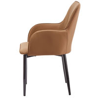 Chaise de salle à manger rétro moderne, design durable en métal et coussin moelleux, idéale pour café, restaurant occidental, bureau à domicile, utilisation en café.