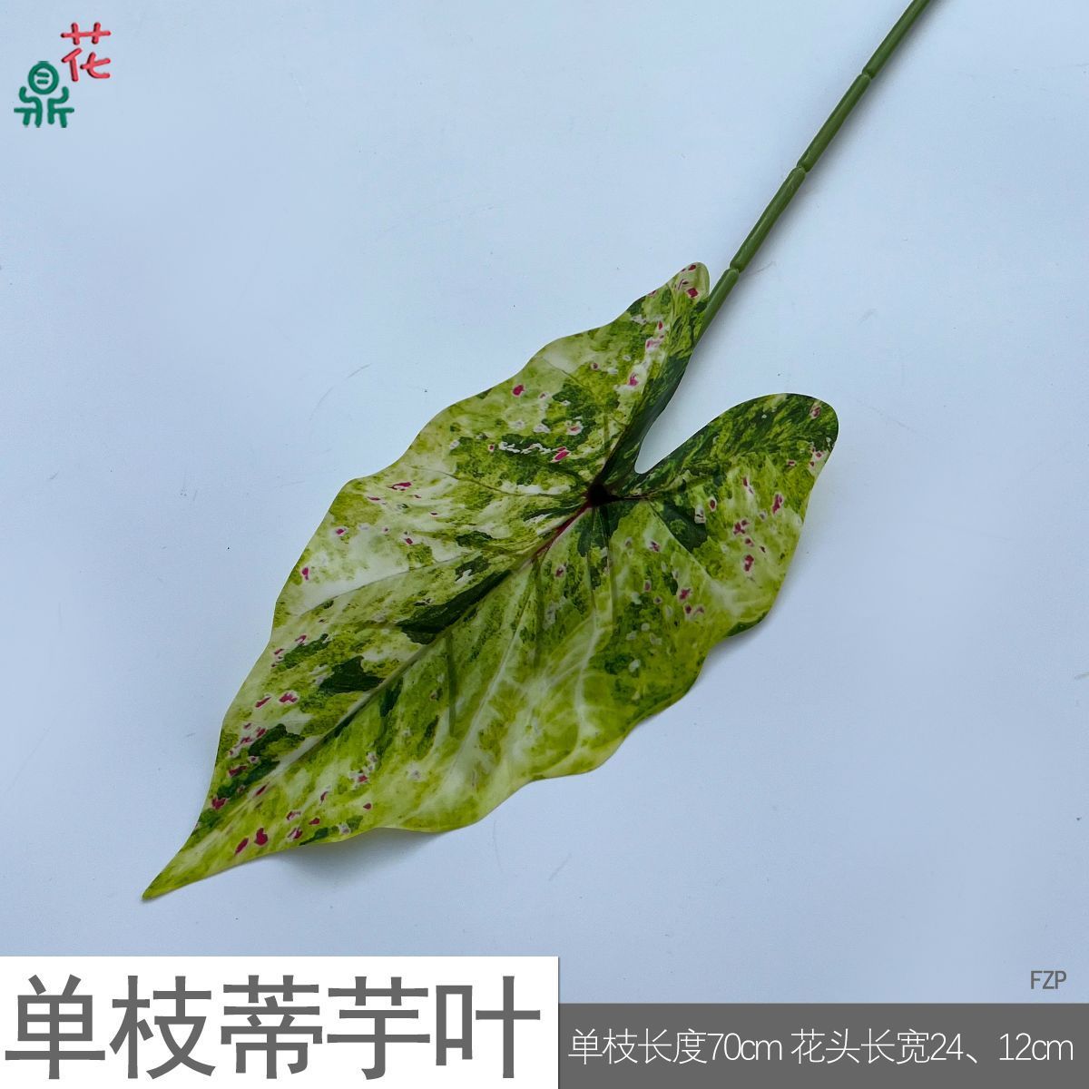 Feuille de taro à tige unique FZP rouge tacheté vert