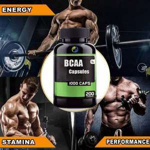 Solilan OEM Pré-entraînement Suppléments BCAA Capsule 120 Acides Aminés Pilules de Prise de Poids Suppléments Sportifs 1000mg Capsules BCAA - Product Image 3
