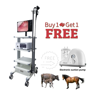 Système d'endoscopie vétérinaire monté sur chariot DMNK07 pour bovins, chevaux et animaux de grande taille, spécifique aux endoscopes agricoles - Product Image 2