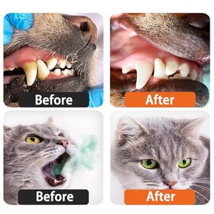 Suministros para Mascotas al por Mayor, Kit de Cuidado <span class=keywords><strong>Dental</strong></span> para Mascotas, Cepillo de Dientes para Perros, Juego de Pasta de Dientes, Aliento Fresco, Higiene Bucal - Product Image 2