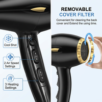 Sèche-cheveux ionique professionnel 2600W pour usage domestique et en salon, moteur AC puissant et silencieux pour applications en extérieur et hôtelières