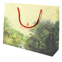 Sacs en papier recyclé de luxe refermables avec logo personnalisé et poignée pour l'emballage de vêtements et de chaussures