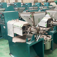 Machine de Presse à Huile Commerciale pour Usage Domestique, Idéale pour Palme, Tournesol, Sésame, Arachide, Coco, Olive et Soja