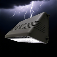 Paquete de pared LED impermeable IP65 de alta eficiencia, accesorio de corte completo para exteriores, Sensor de fotocélula, instalación de montaje en pared para jardín