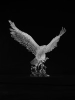 Sculpture d'aigle en cristal acrylique transparent moderne, faite à la main |   Figurine artistique haute transparence, décoration pour la maison et le bureau, cadeaux d'affaires