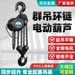 Electric Chain Hoist 10 Ton Remote Control Steel Construction Lifting Equipment - Product Image 2
