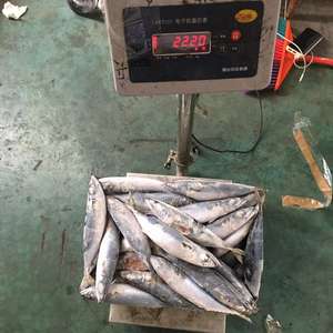 صنع أسماك الماكريل المأكولات البحرية بالجملة - Product Image 4