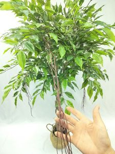 ต้นไม้ปลอมจำลองใบเล็กยาว130ซม. ทำจากพลาสติกและลวดเหล็ก - Product Image 3