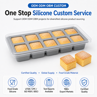 Moule à mini-gâteaux en silicone alimentaire avec couvercle, plateau carré 10 cavités antiadhésif pour échantillons de pâtisserie, vente en gros