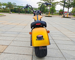 มอเตอร์ไซค์แบตเตอรี่ 2000w 60v 20ah สำหรับผู้ใหญ่ - Product Image 6