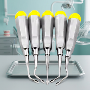 MIRHA INSTRUMENTS Elevadores Dentales Manuales de Acero Inoxidable con Empuñadura Acolchada de Lujo, Certificación CE Clase I, Plateados - Product Image 3